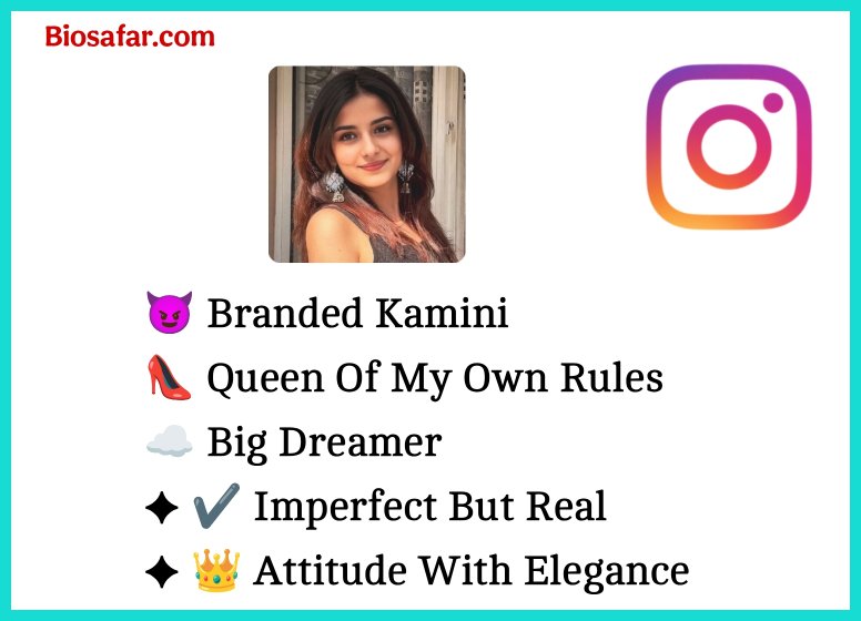 Instagram Bio For Girls Attitude