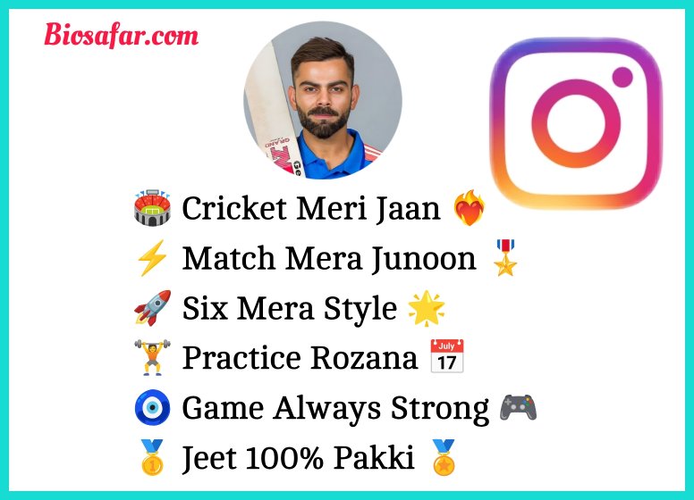 Instagram Bio For Cricket Lovers