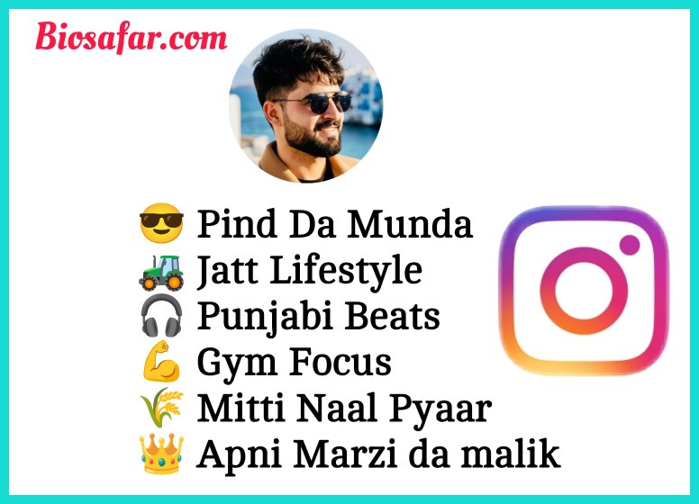 Instagram Bio In Punjabi